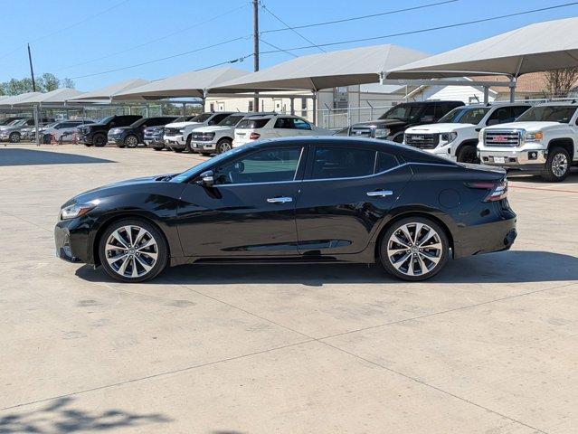 2021 Nissan Maxima Vehicle Photo in SELMA, TX 78154-1460