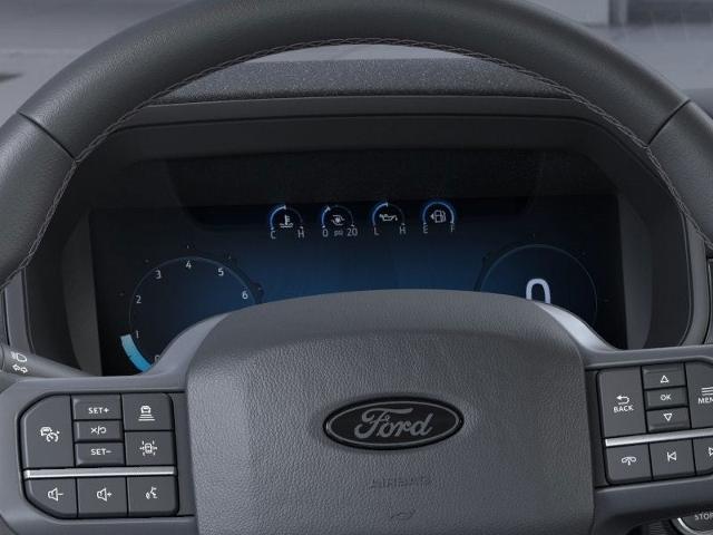 2025 Ford F-150 Vehicle Photo in Green Bay, WI 54304