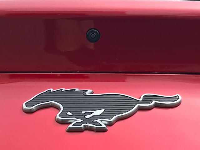 2021 Ford Mustang Mach-E Vehicle Photo in GREEN BAY, WI 54303-3330