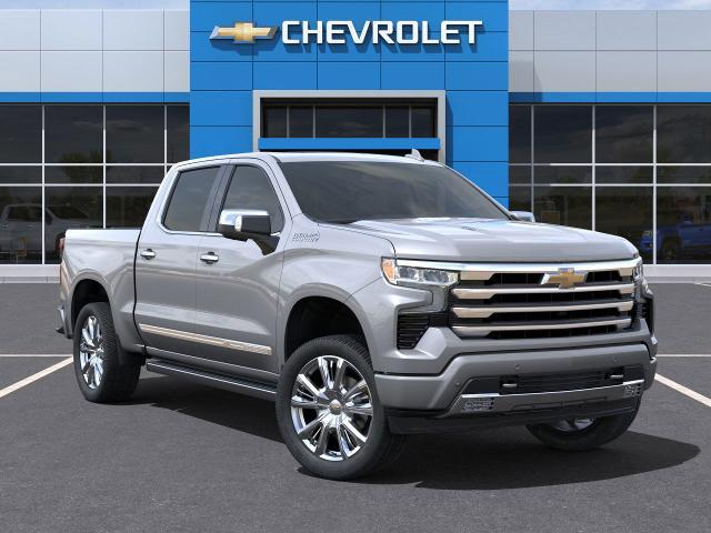 2025 Chevrolet Silverado 1500 Vehicle Photo in HOUSTON, TX 77034-5009