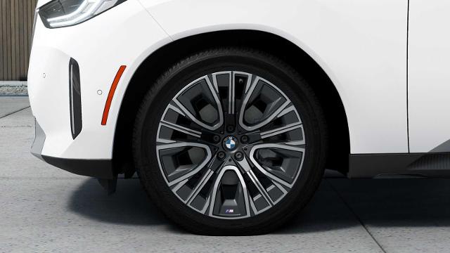 2025 BMW X3 30 xDrive Vehicle Photo in GRAPEVINE, TX 76051