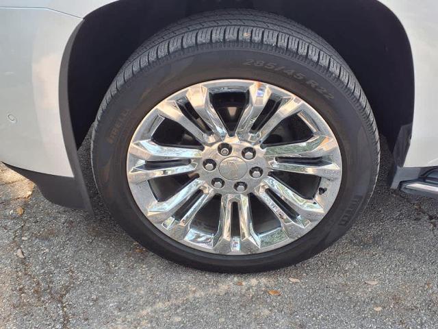 2020 Cadillac Escalade Vehicle Photo in San Antonio, TX 78230-1001