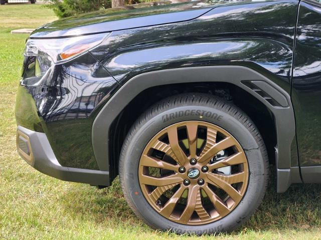 2025 Subaru Forester Vehicle Photo in DALLAS, TX 75209