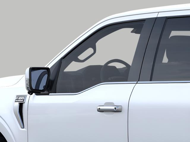 2025 Ford F-150 Vehicle Photo in Neenah, WI 54956