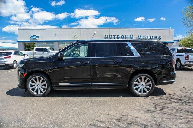 2021 Cadillac Escalade ESV Vehicle Photo in MILES CITY, MT 59301-5791