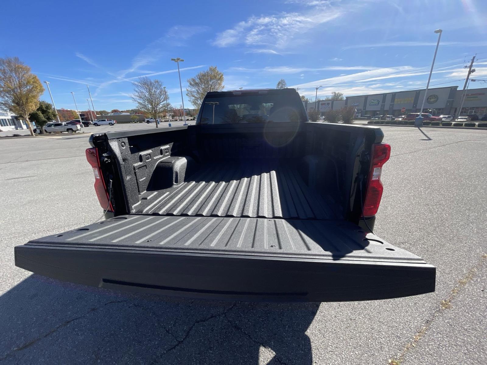 2025 Chevrolet Silverado 1500 Vehicle Photo in BENTONVILLE, AR 72712-4322