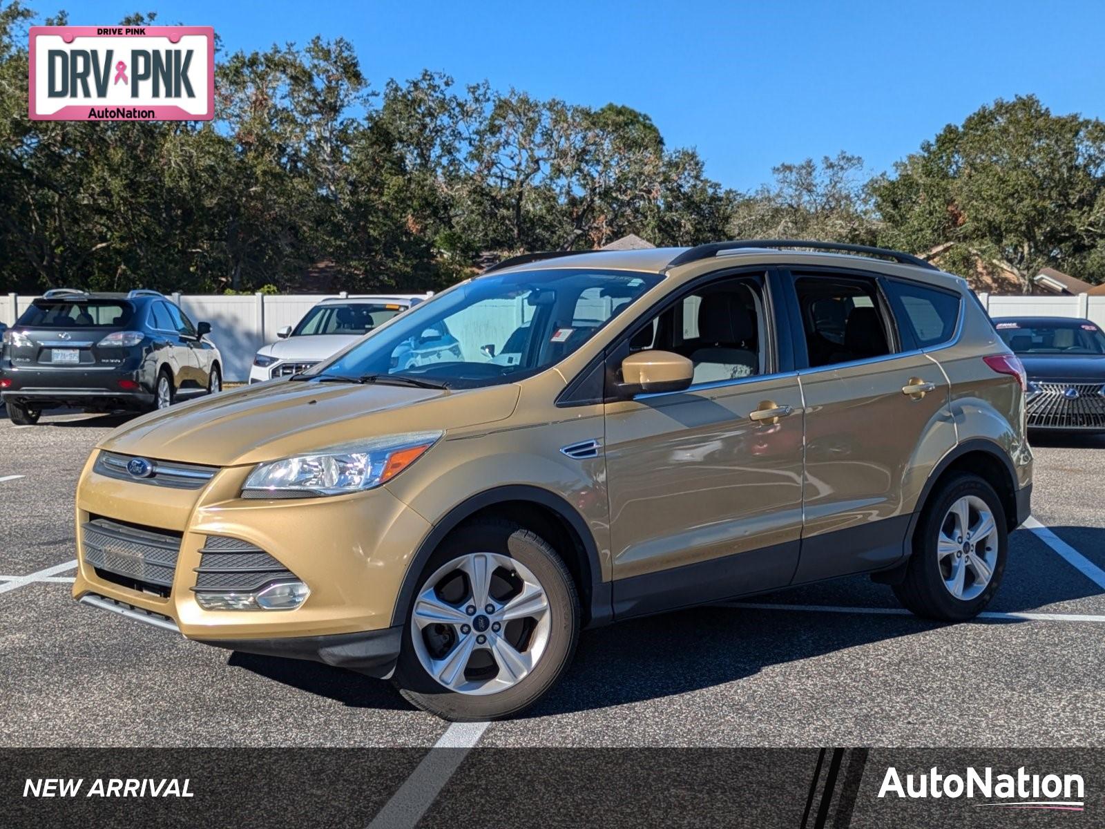 2014 Ford Escape Vehicle Photo in Clearwater, FL 33761