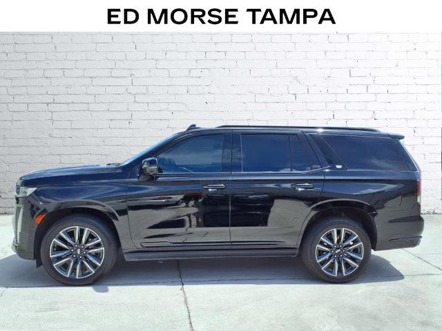 2021 Cadillac Escalade Vehicle Photo in Tampa, FL 33612