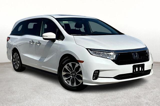 2022 Honda Odyssey Vehicle Photo in San Antonio, TX 78230