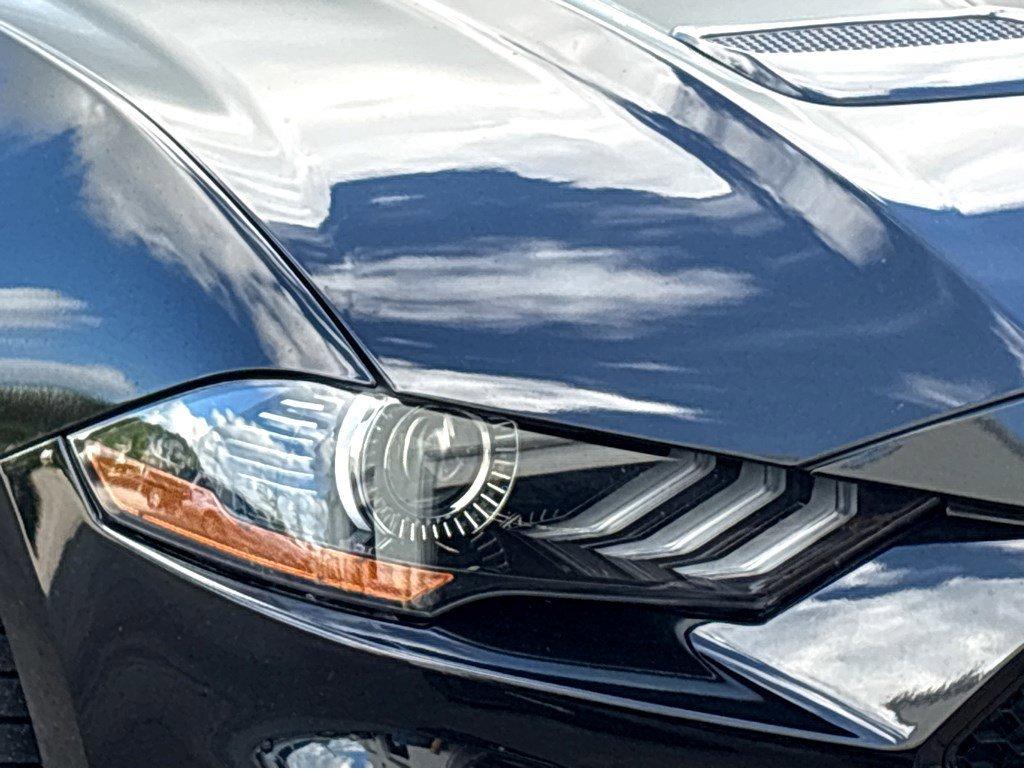 2020 Ford Mustang Vehicle Photo in SAVANNAH, GA 31406-4513
