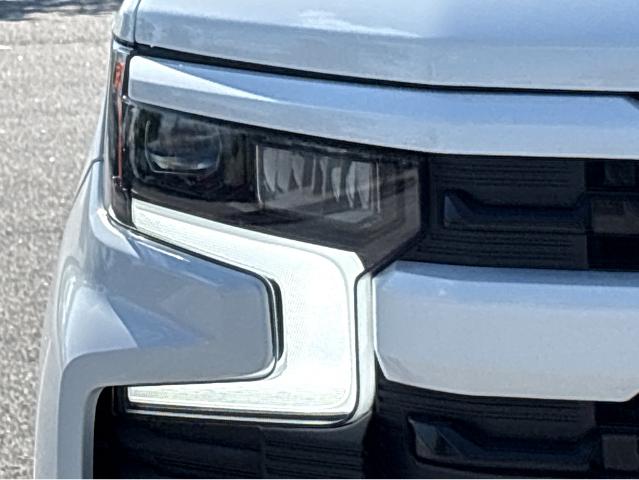 2026 Chevrolet Silverado 1500 Vehicle Photo in BEAUFORT, SC 29906-4218