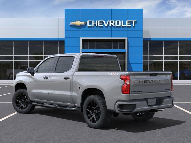 2024 Chevrolet Silverado 1500 Vehicle Photo in WACO, TX 76710-2592