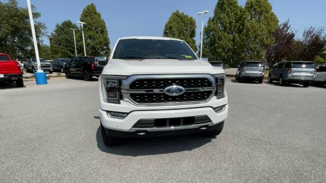 2021 Ford F-150 Vehicle Photo in BENTONVILLE, AR 72712-4322