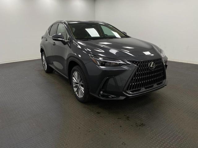 2025 Lexus NX 350 Vehicle Photo in Appleton, WI 54913