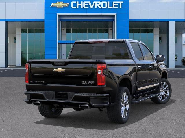 2025 Chevrolet Silverado 1500 Vehicle Photo in SELMA, TX 78154-1460