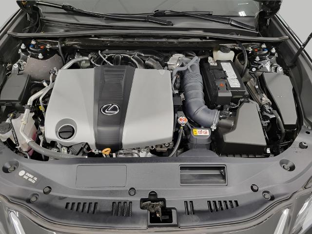 2022 Lexus ES 350 Vehicle Photo in Oshkosh, WI 54904