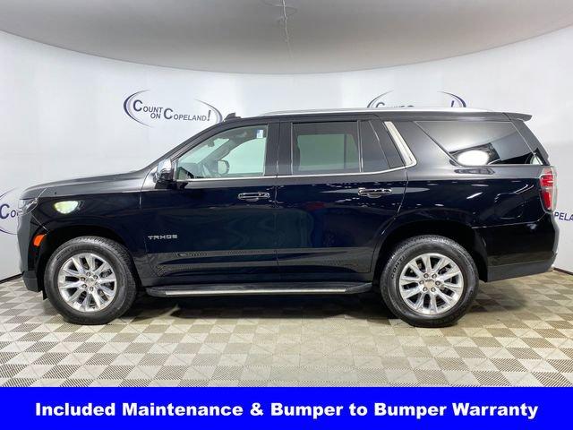 2024 Chevrolet Tahoe Vehicle Photo in BROCKTON, MA 02301-7113