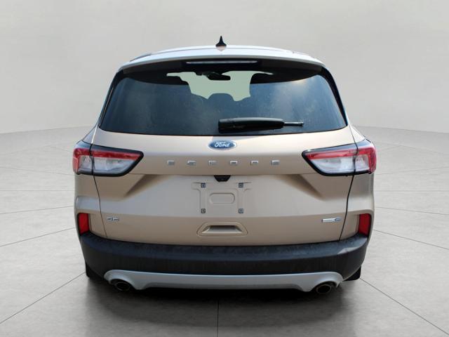 2020 Ford Escape Vehicle Photo in Green Bay, WI 54304