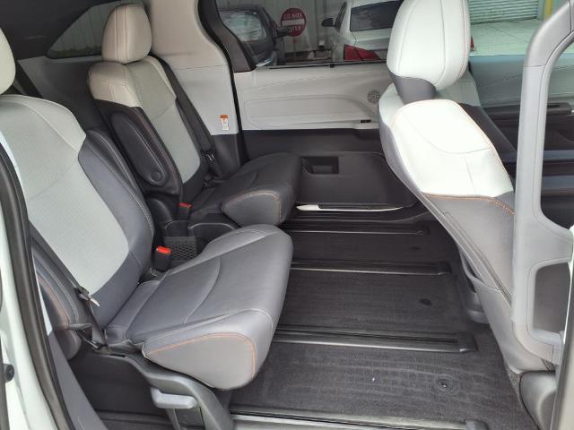2024 Toyota Sienna Vehicle Photo in Tampa, FL 33612