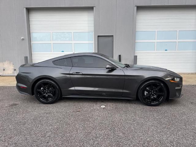 Used 2019 Ford Mustang EcoBoost with VIN 1FA6P8TH1K5195415 for sale in Gadsden, AL