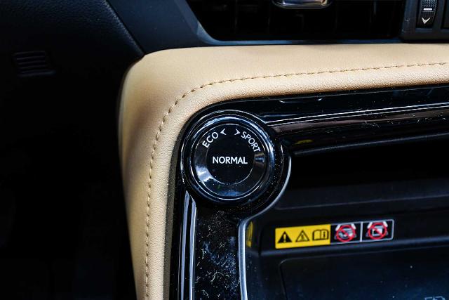 2025 Lexus NX 250 Vehicle Photo in DALLAS, TX 75235