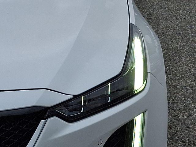 2023 Cadillac CT5 Vehicle Photo in DANBURY, CT 06810-5034