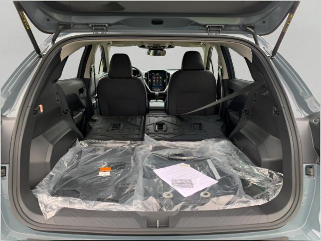 2025 Subaru Crosstrek Vehicle Photo in Oshkosh, WI 54904