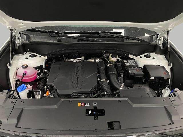 2025 Hyundai SANTA FE Vehicle Photo in Appleton, WI 54913