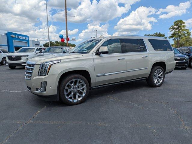 2017 Cadillac Escalade ESV Vehicle Photo in BRUNSWICK, GA 31525-1881