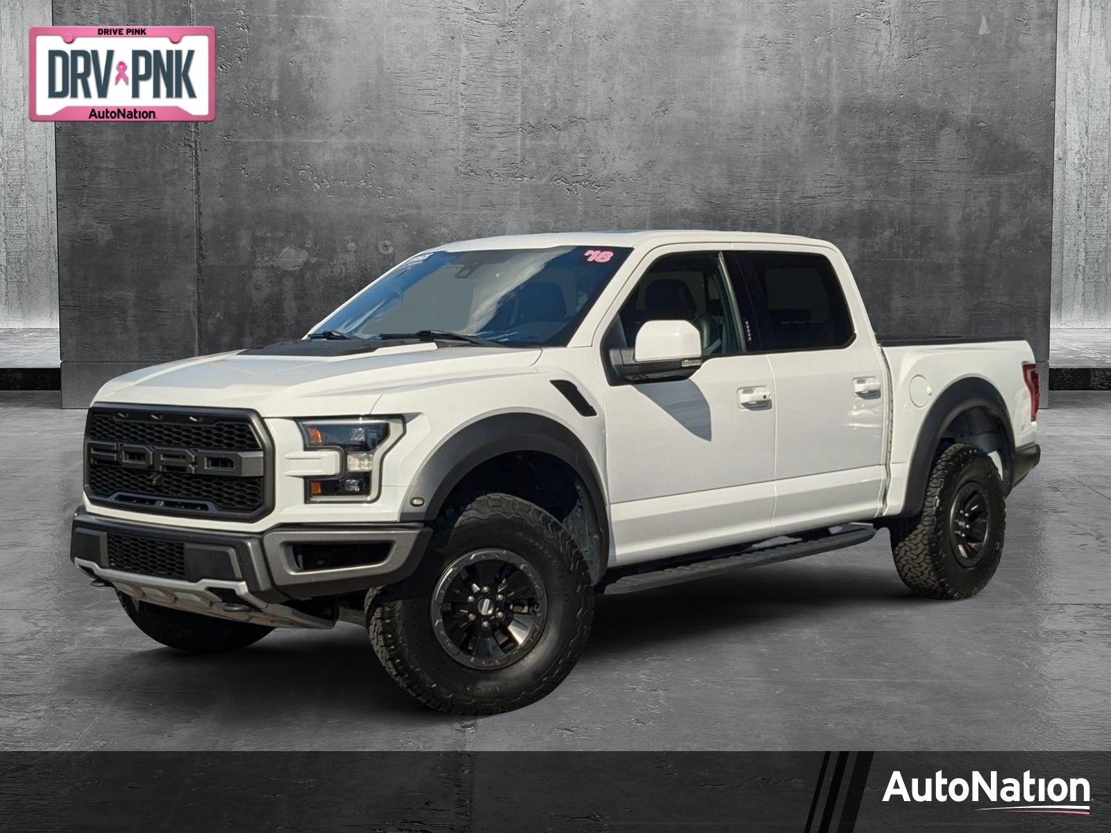 2018 Ford F-150 Vehicle Photo in St. Petersburg, FL 33713