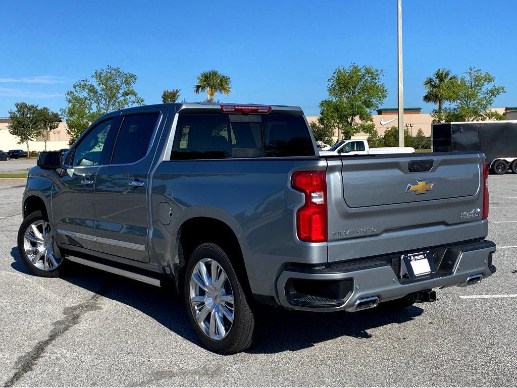 2025 Chevrolet Silverado 1500 Vehicle Photo in BEAUFORT, SC 29906-4218