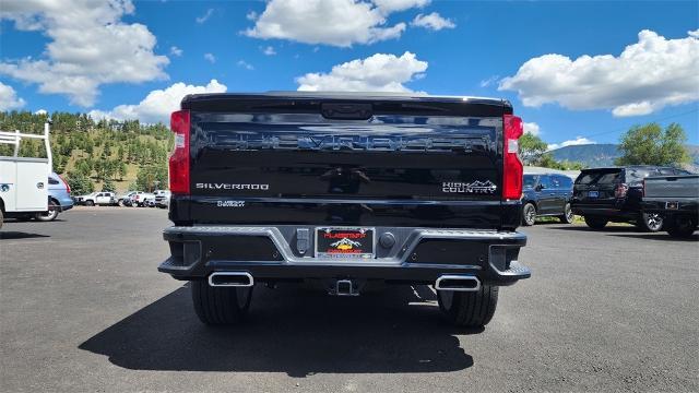 2024 Chevrolet Silverado 1500 Vehicle Photo in FLAGSTAFF, AZ 86001-6214