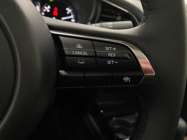 2025 Mazda CX-30 Vehicle Photo in Appleton, WI 54913