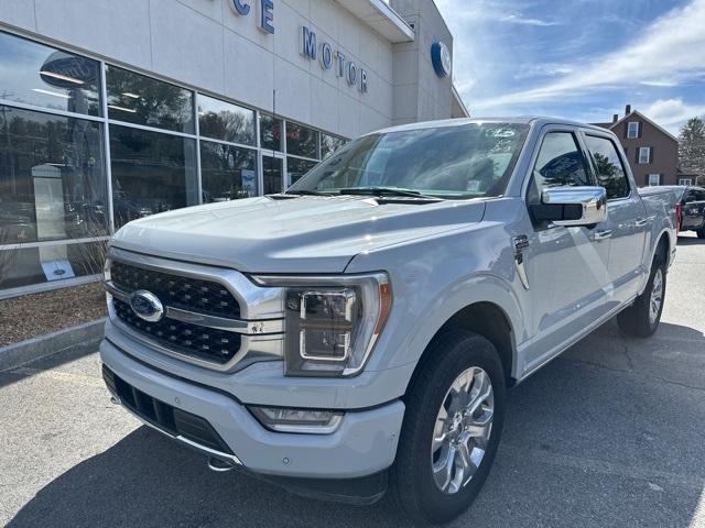 2023 Ford F-150 Vehicle Photo in Webster, MA 01570-1415