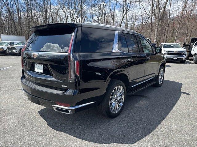 2023 Cadillac Escalade Vehicle Photo in MOUNT KISCO, NY 10549-1513