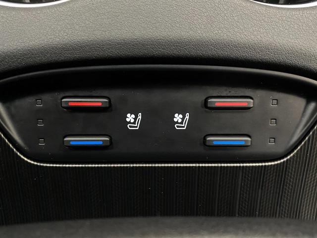 2023 Toyota Venza Vehicle Photo in Appleton, WI 54913
