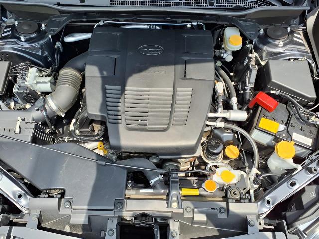 2019 Subaru Forester Vehicle Photo in Oshkosh, WI 54904