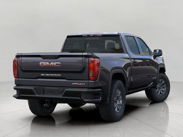 2025 GMC Sierra 1500 Vehicle Photo in APPLETON, WI 54914-8833