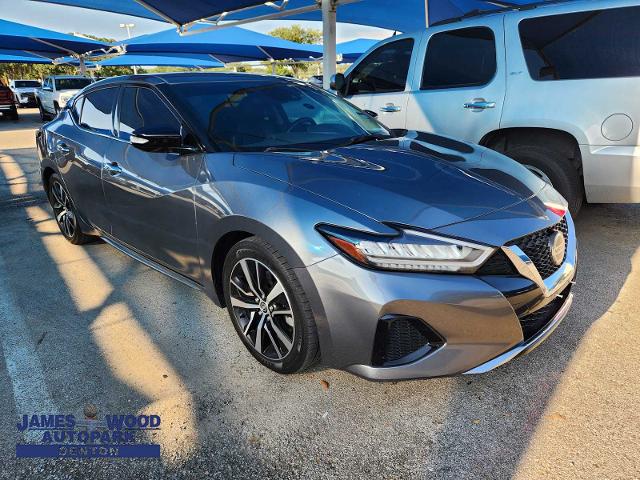 2022 Nissan Maxima Vehicle Photo in DENTON, TX 76210-9321