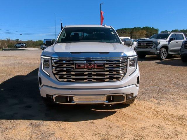 2025 GMC Sierra 1500 Vehicle Photo in ALBERTVILLE, AL 35950-0246