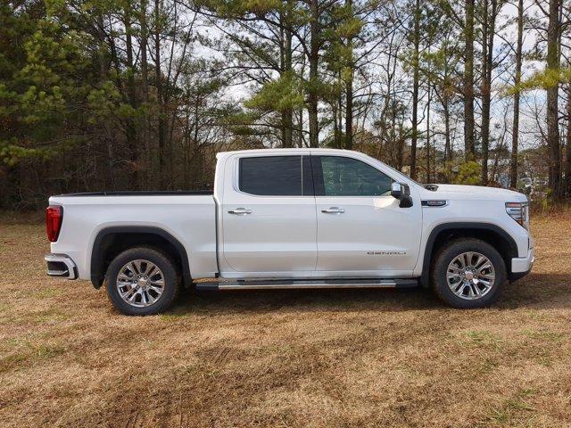 2025 GMC Sierra 1500 Vehicle Photo in ALBERTVILLE, AL 35950-0246