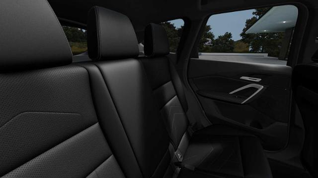 2025 BMW X1 xDrive28i Vehicle Photo in GRAPEVINE, TX 76051