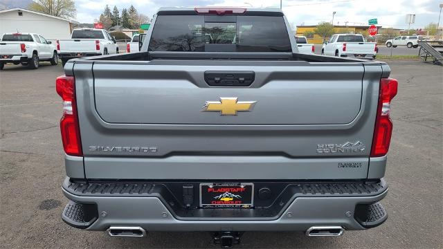 2025 Chevrolet Silverado 1500 Vehicle Photo in FLAGSTAFF, AZ 86001-6214