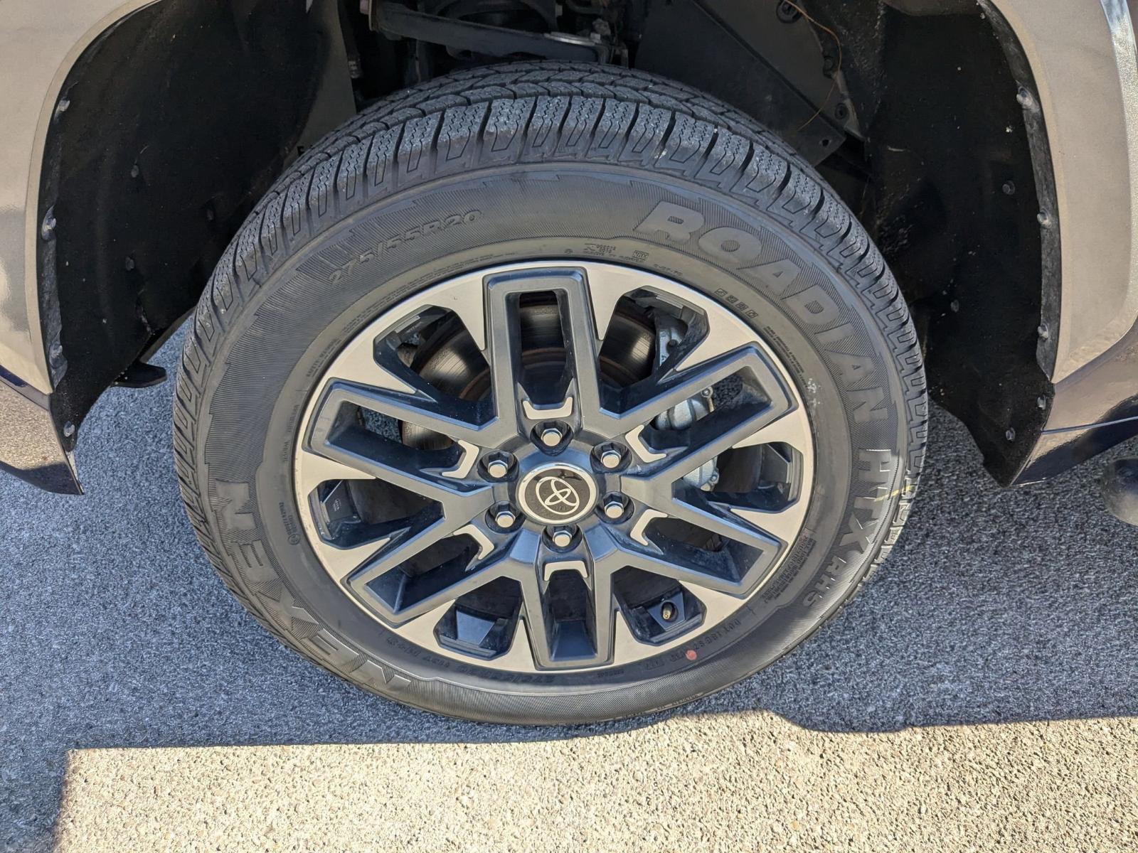 2023 Toyota Tundra 4WD Vehicle Photo in Seguin, TX 78155