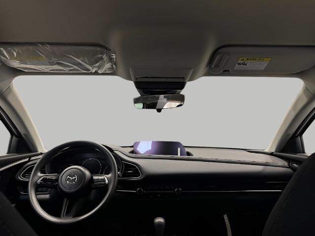 2025 Mazda CX-30 Vehicle Photo in Green Bay, WI 54304
