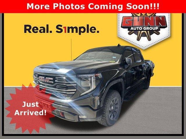 2024 GMC Sierra 1500 Vehicle Photo in SELMA, TX 78154-1459