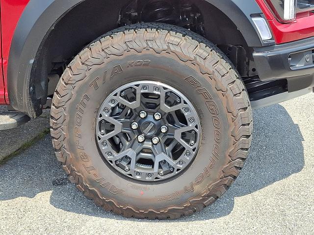 2025 Ford F-150 Vehicle Photo in HARRISBURG, PA 17111-1033