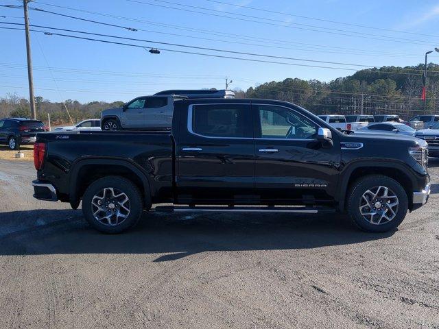 2025 GMC Sierra 1500 Vehicle Photo in ALBERTVILLE, AL 35950-0246