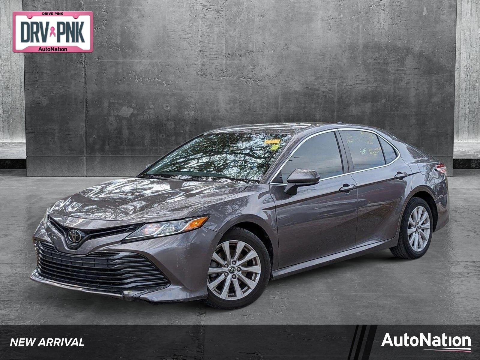 2019 Toyota Camry Vehicle Photo in Tampa, FL 33614