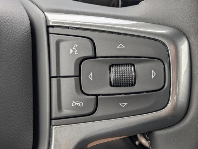 2024 Chevrolet Silverado 1500 Vehicle Photo in BEAUFORT, SC 29906-4218